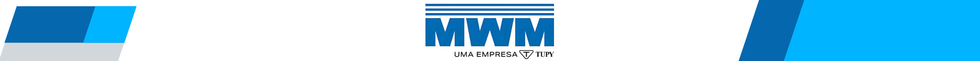 MWM International